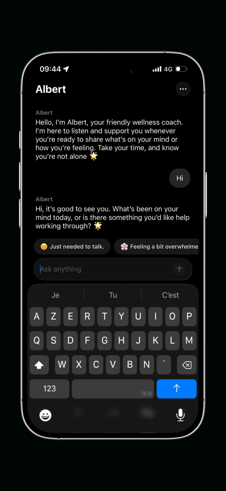 Helm personal coach - Pilot
